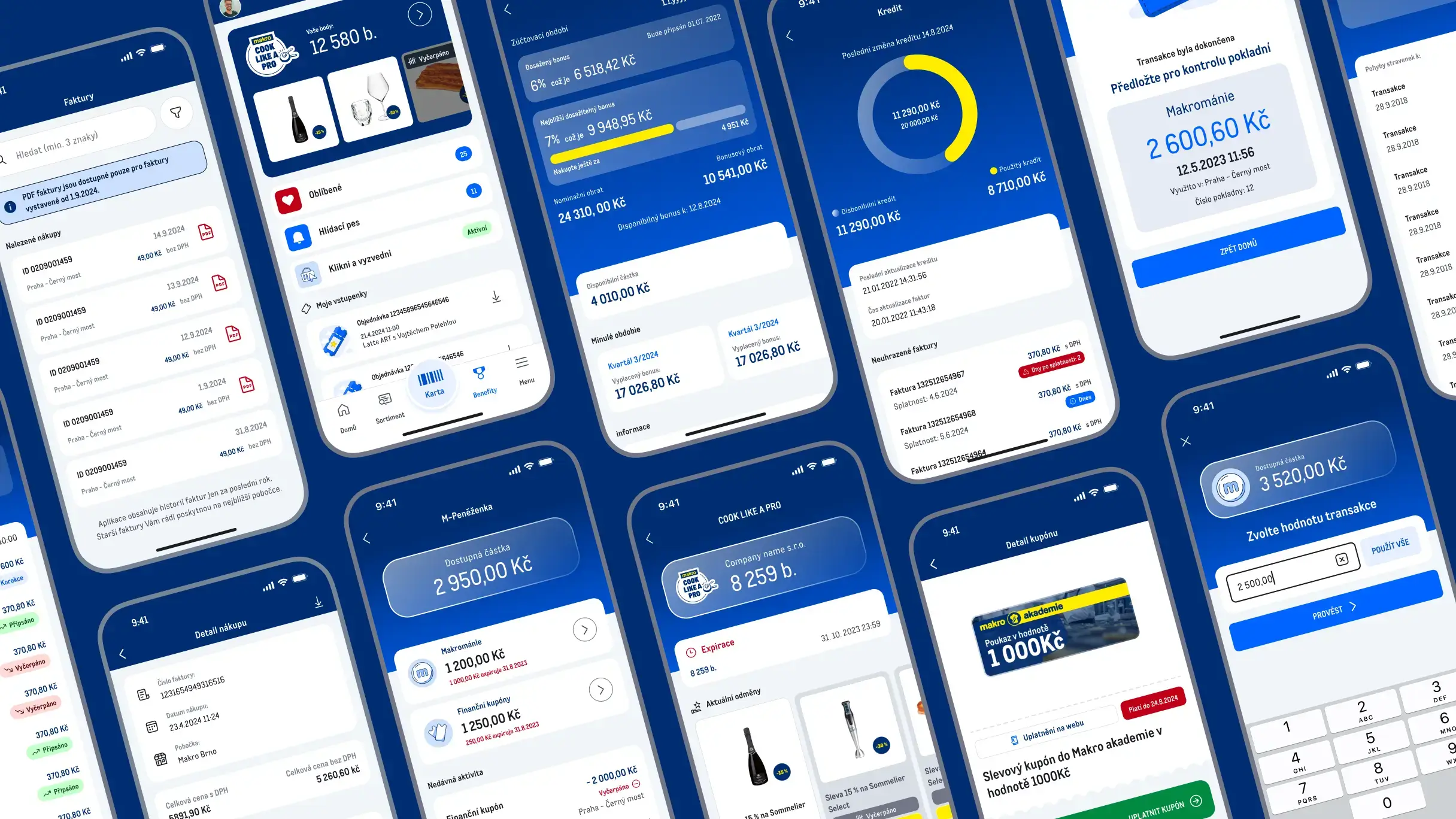 Přehled Financí a Benefitů